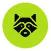 Raccoon Trappingicon min