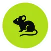 Rat & Rodent Controlicon min