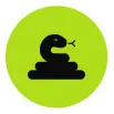 Snake Inspection & Removalicon min