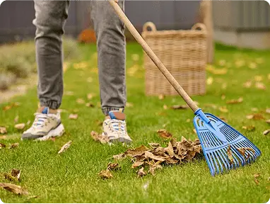 Wildlife Sanitation & Cleaningimg min