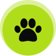 Nuisance Wildlife Removalicon min