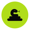 Snake Inspection & Removalicon min