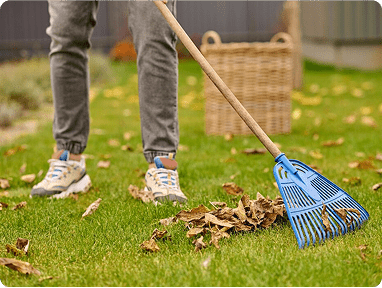Wildlife Sanitation & Cleaningimg min